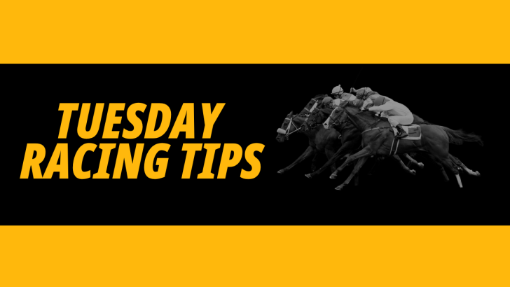 Image for Timeform's Tuesday racing column with three tips 